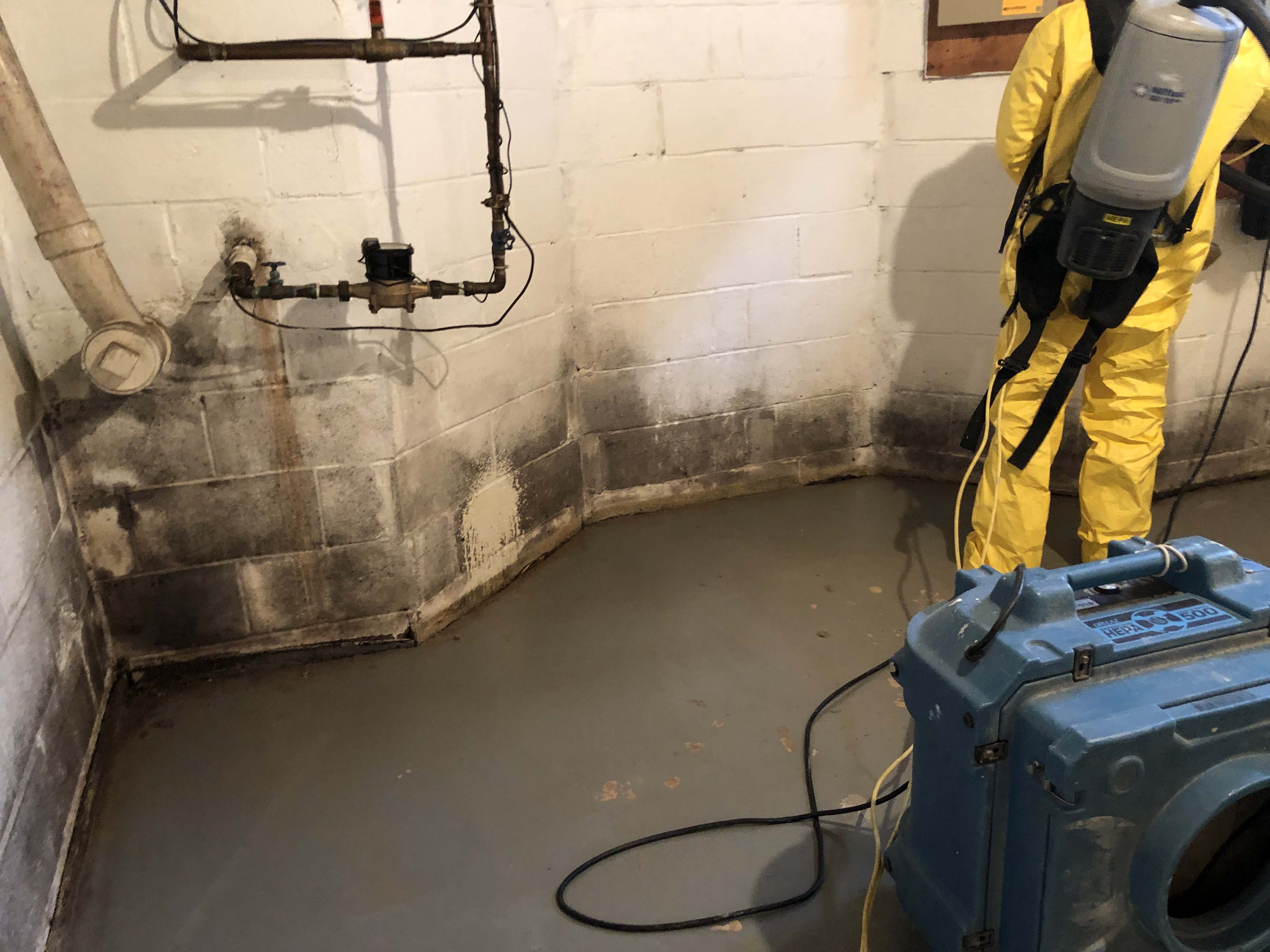 Mold Remediation Services Eldersburg Md 34 - jgd6ssb